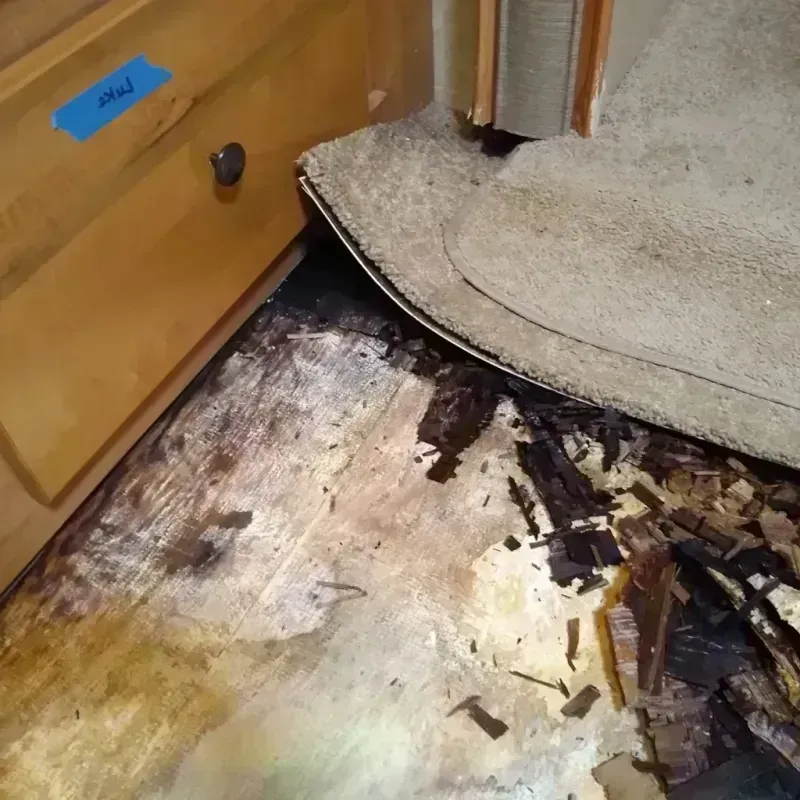 Wood Floor Water Damage in Ozark, AR